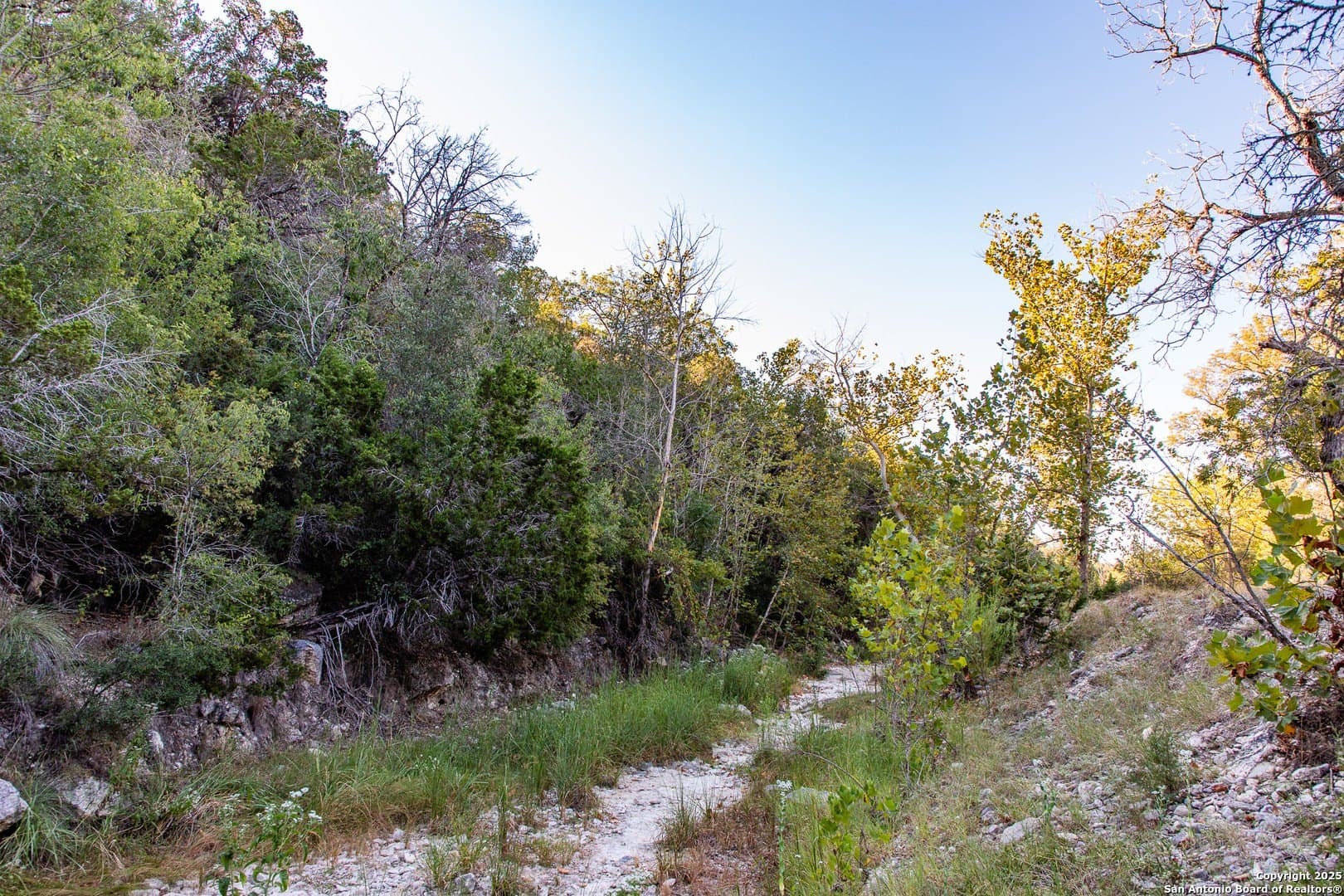 22.24 acres in Bandera County - photo 26