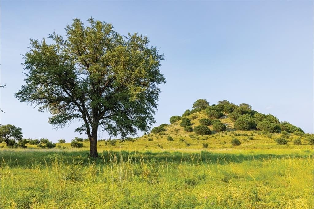 190.06 acres in Bosque County - photo 11
