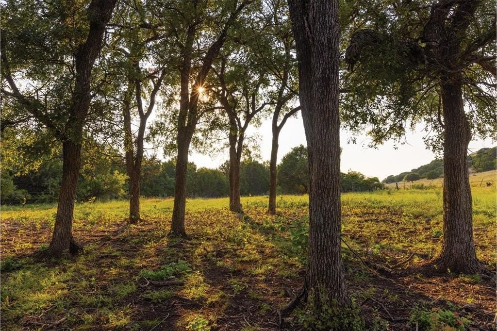 190.06 acres in Bosque County - photo 10