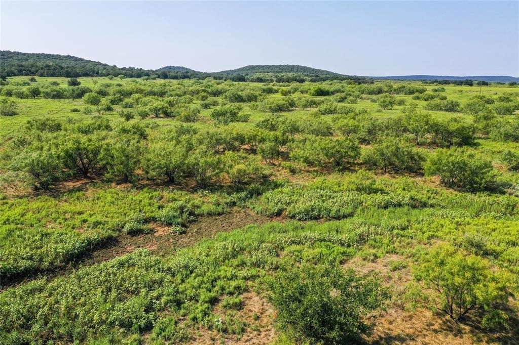 262.71 acres in Jack County - photo 15