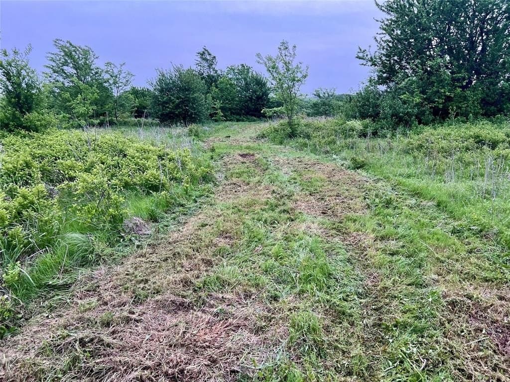 8.16 acres in Collin County - photo 11