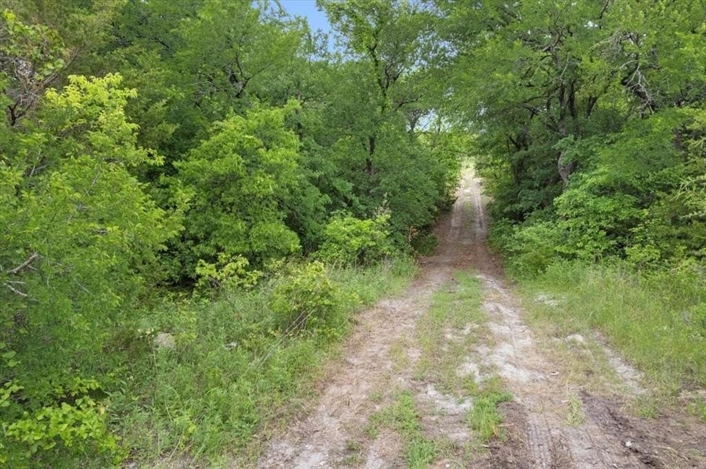 8.16 acres in Collin County - photo 10