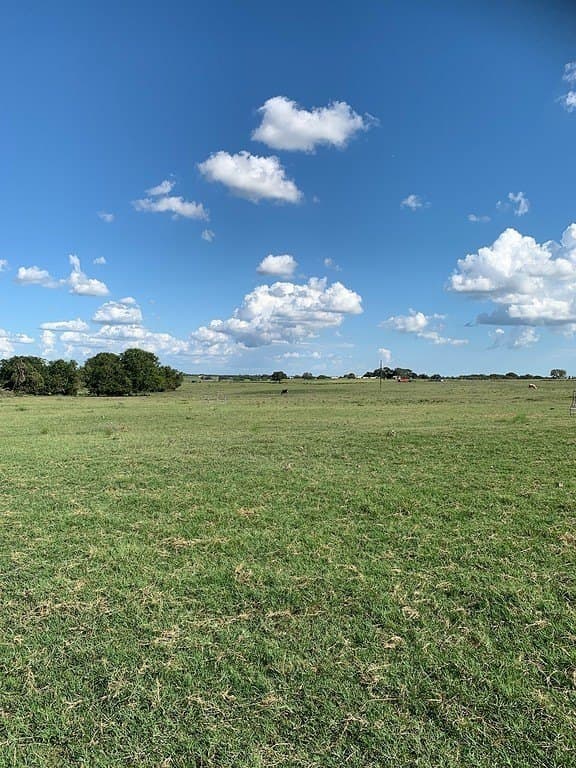 63.55 acres in Lavaca County - photo 2