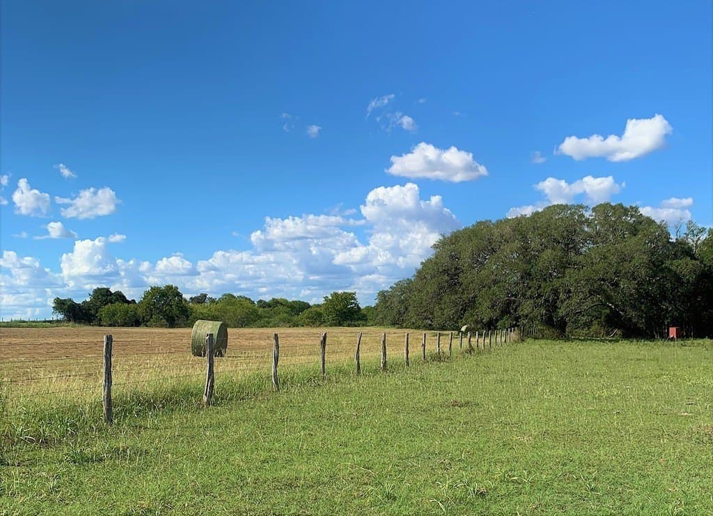 672 County Road 372