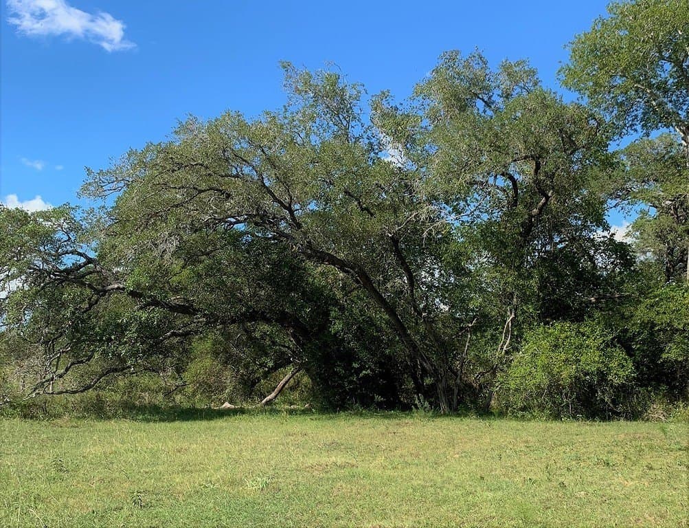 63.55 acres in Lavaca County - photo 8
