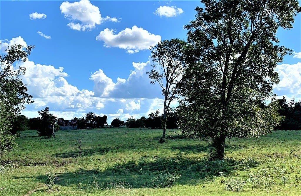 63.55 acres in Lavaca County - photo 12
