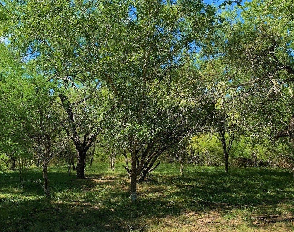 63.55 acres in Lavaca County - photo 13