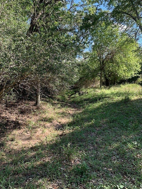 63.55 acres in Lavaca County - photo 5