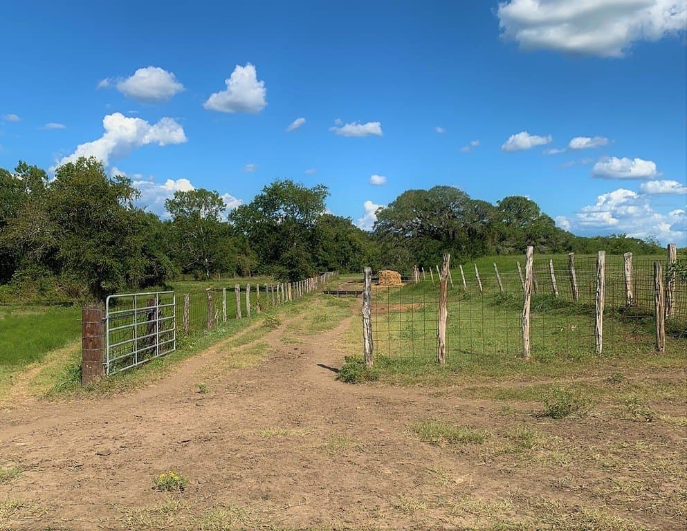 63.55 acres in Lavaca County - photo 20