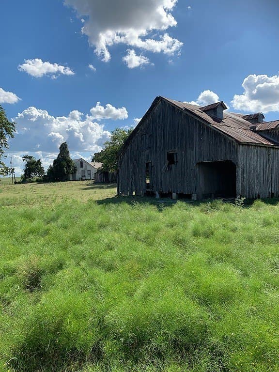 63.55 acres in Lavaca County - photo 17