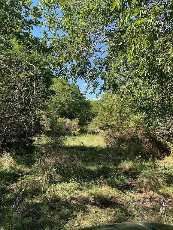 63.55 acres in Lavaca County - photo 6