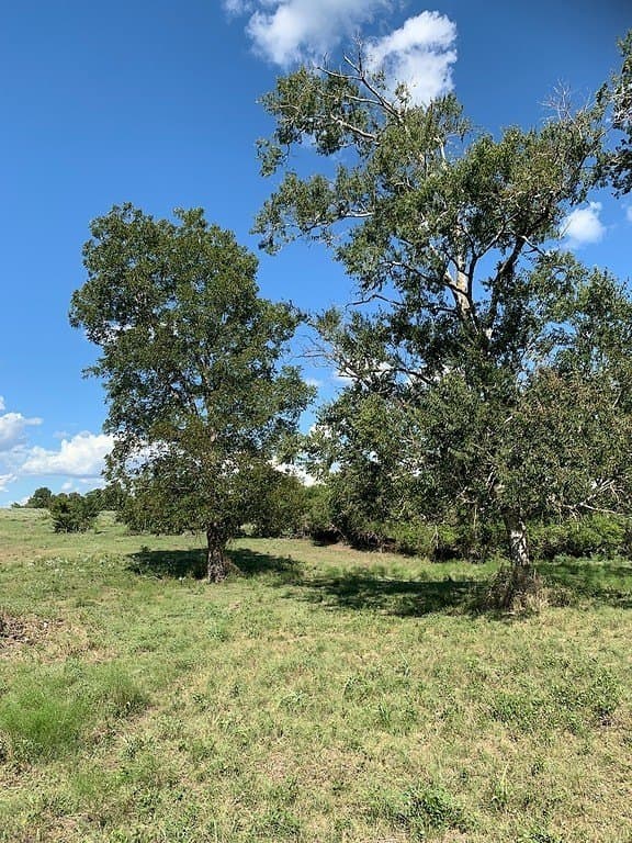 63.55 acres in Lavaca County - photo 14