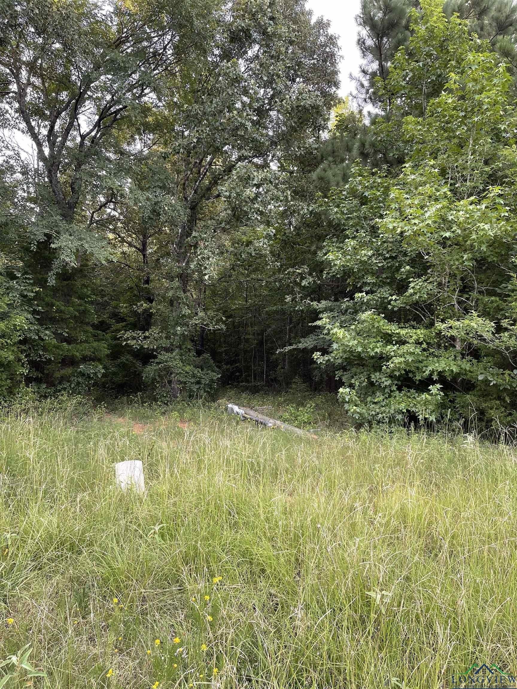 25.33 acres in Rusk County - photo 6