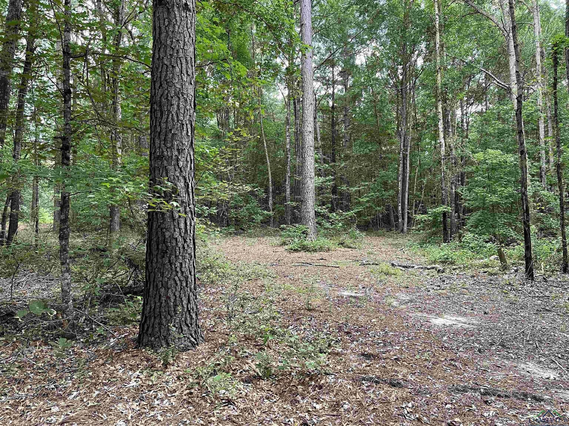 25.33 acres in Rusk County - photo 5