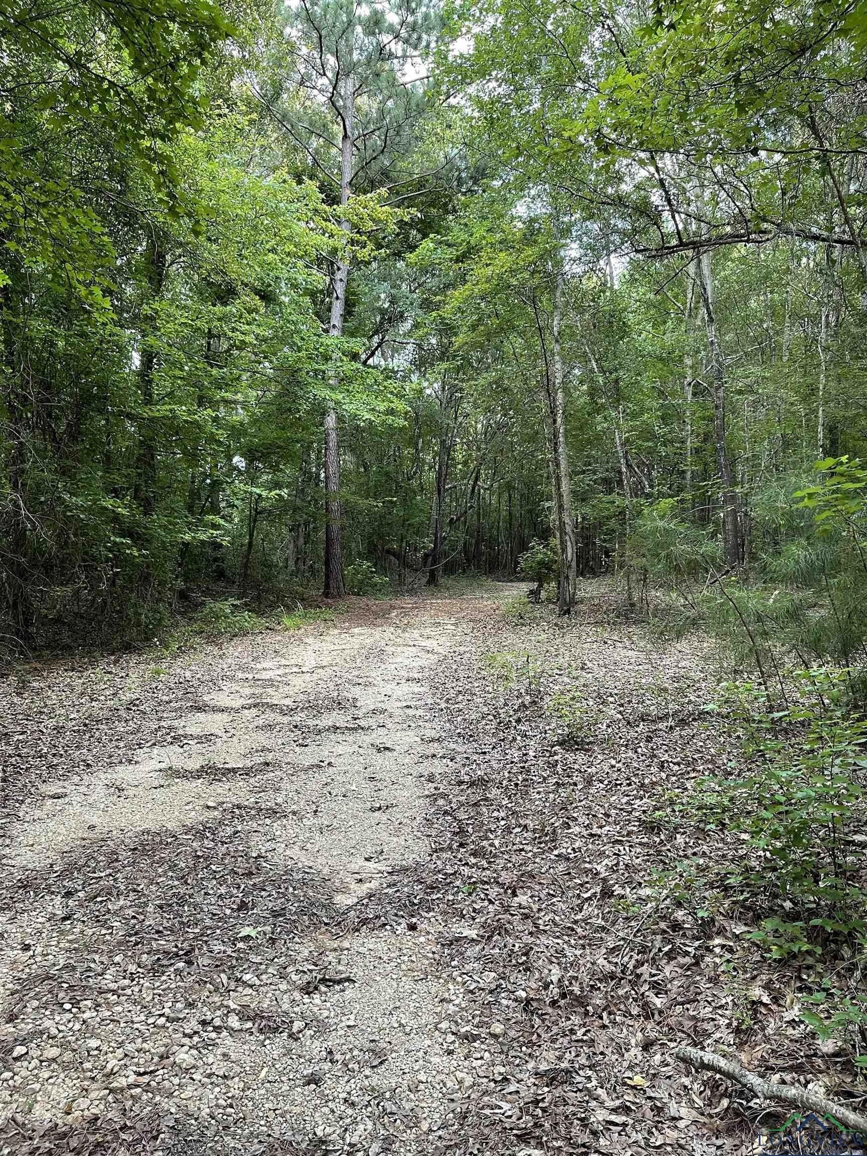 25.33 acres in Rusk County - photo 2