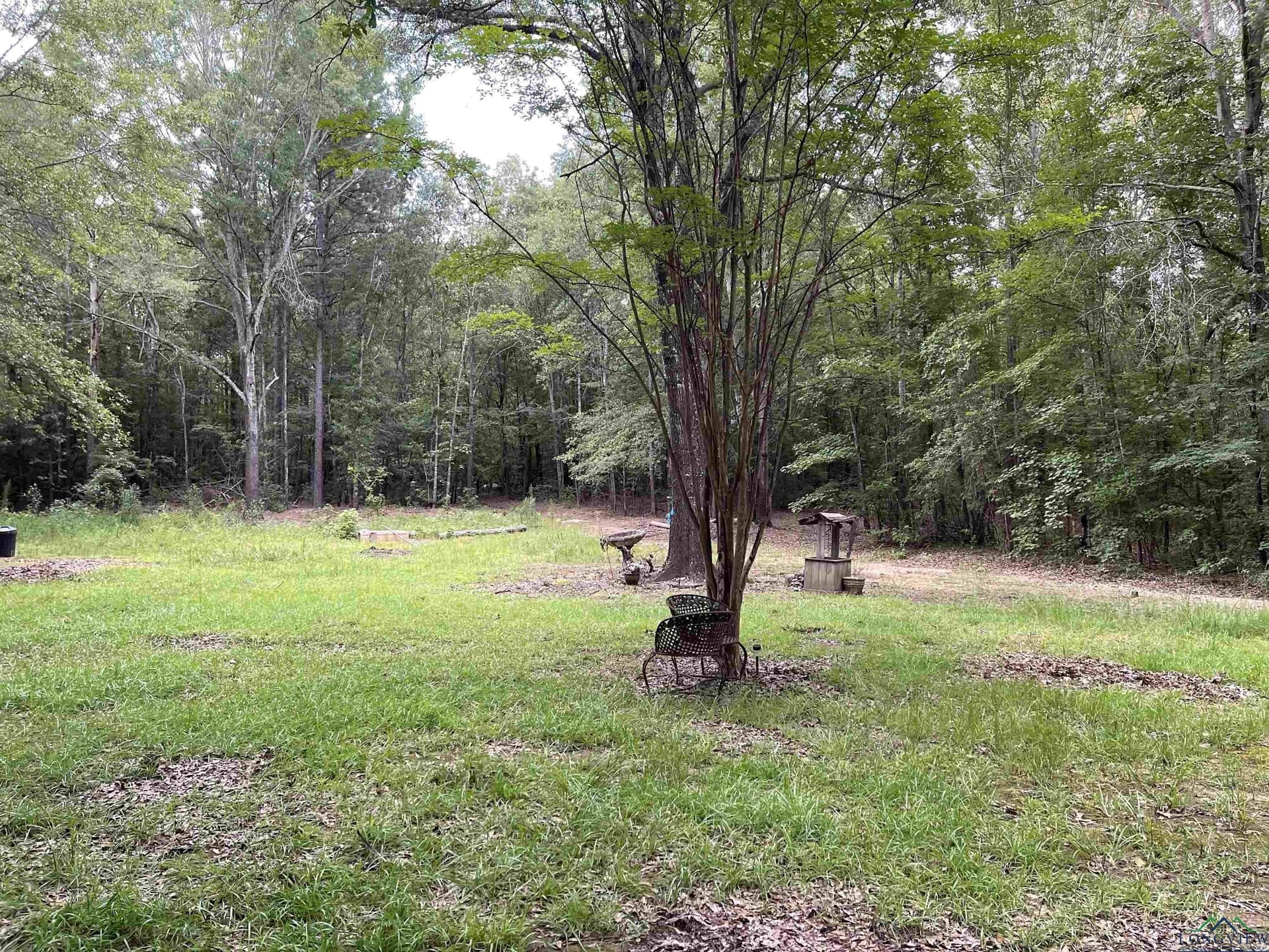 25.33 acres in Rusk County - photo 3