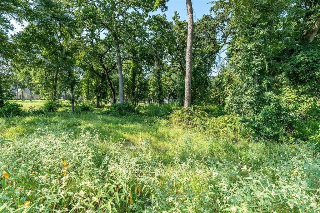 0.97 acres in Cherokee County - photo 15