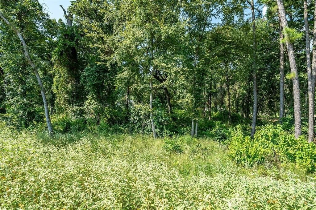 0.97 acres in Cherokee County - photo 14