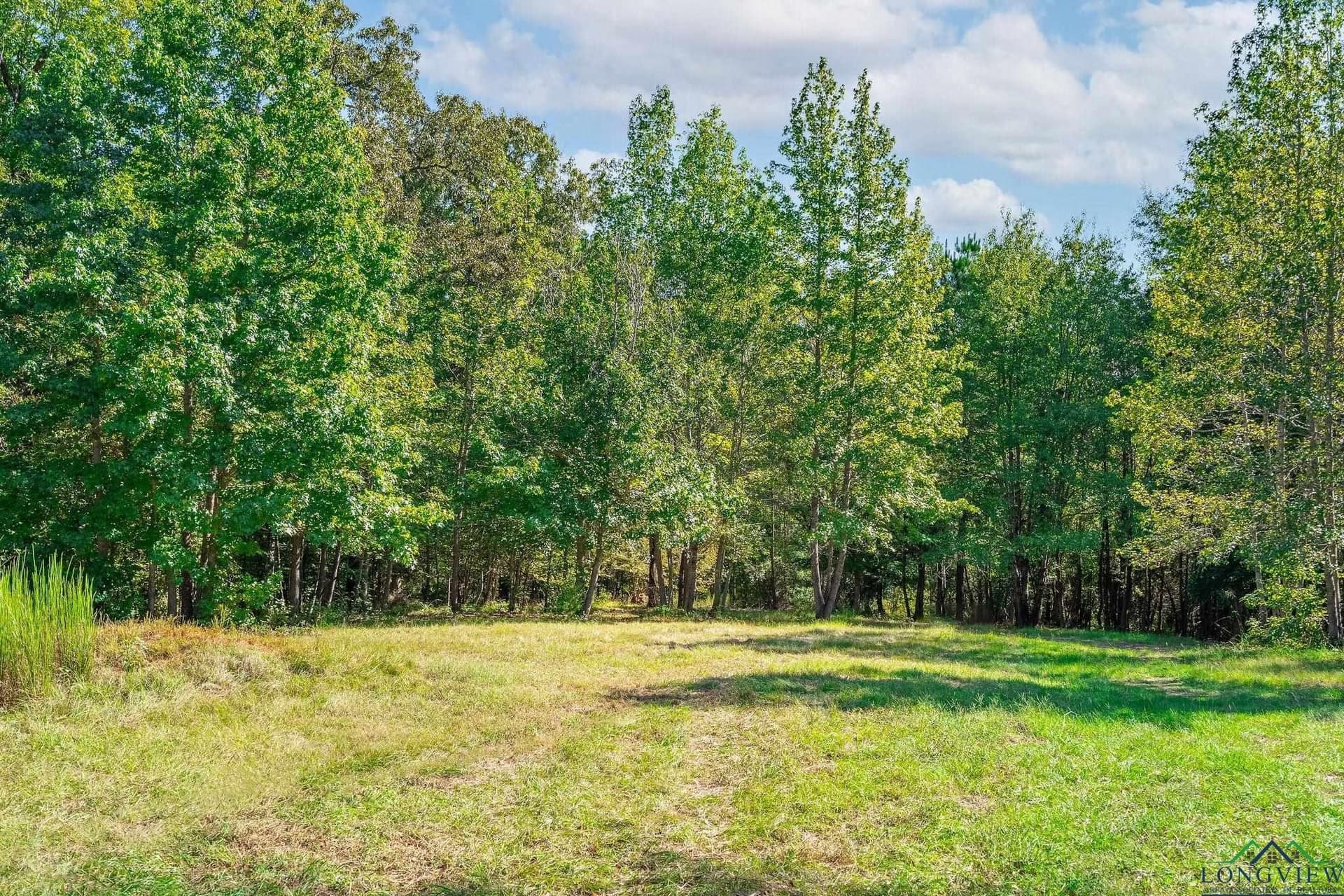 11.32 acres in Upshur County - photo 24