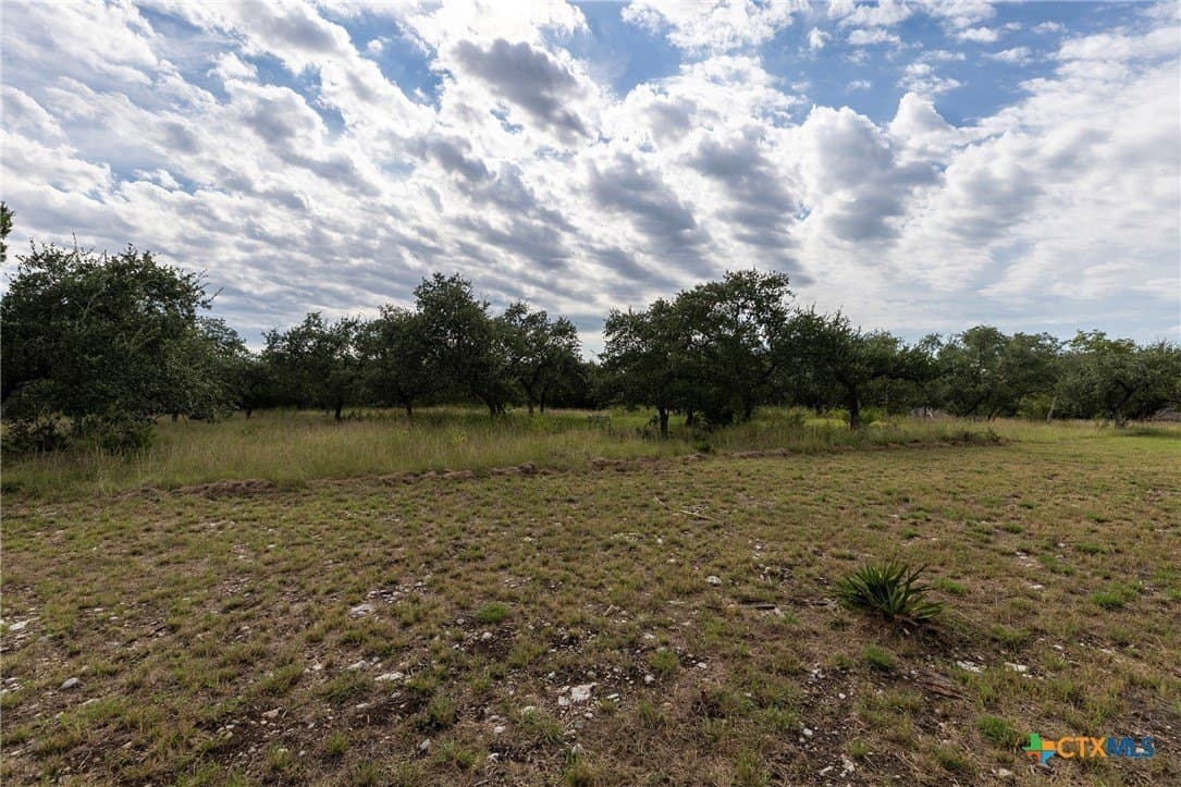 10.1 acres in Williamson County - photo 26