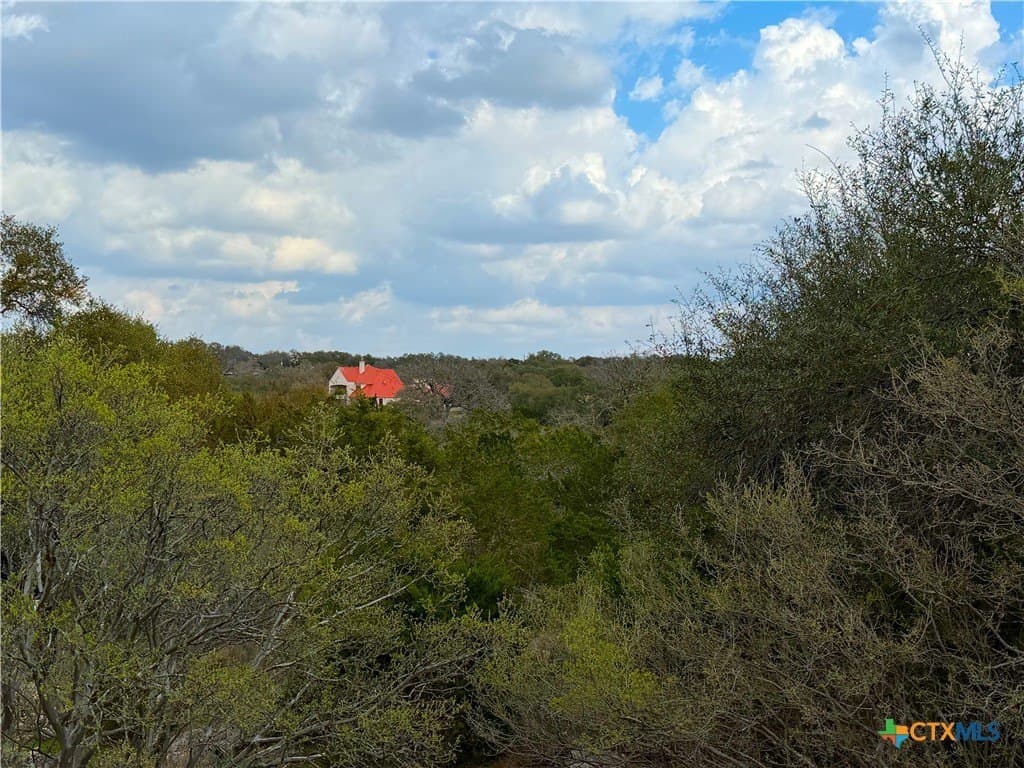 1.41 acres in Comal County - photo 3