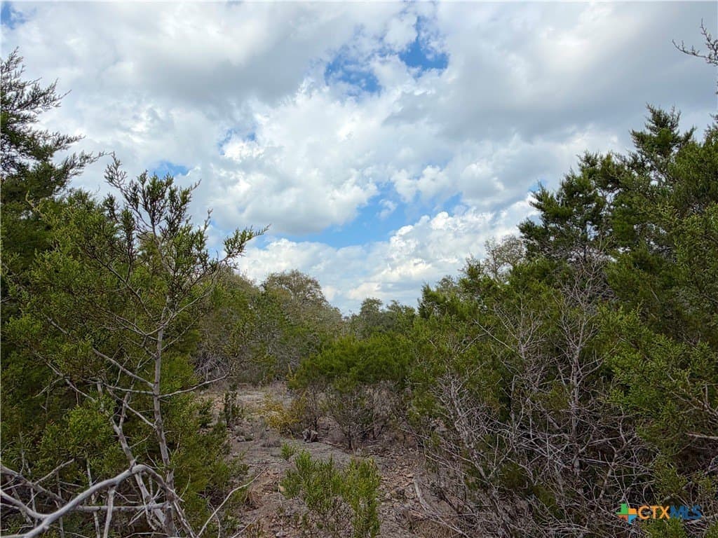 1.41 acres in Comal County - photo 5