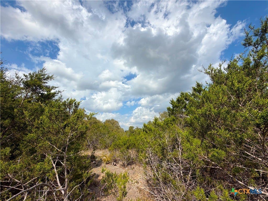 1.41 acres in Comal County - photo 4