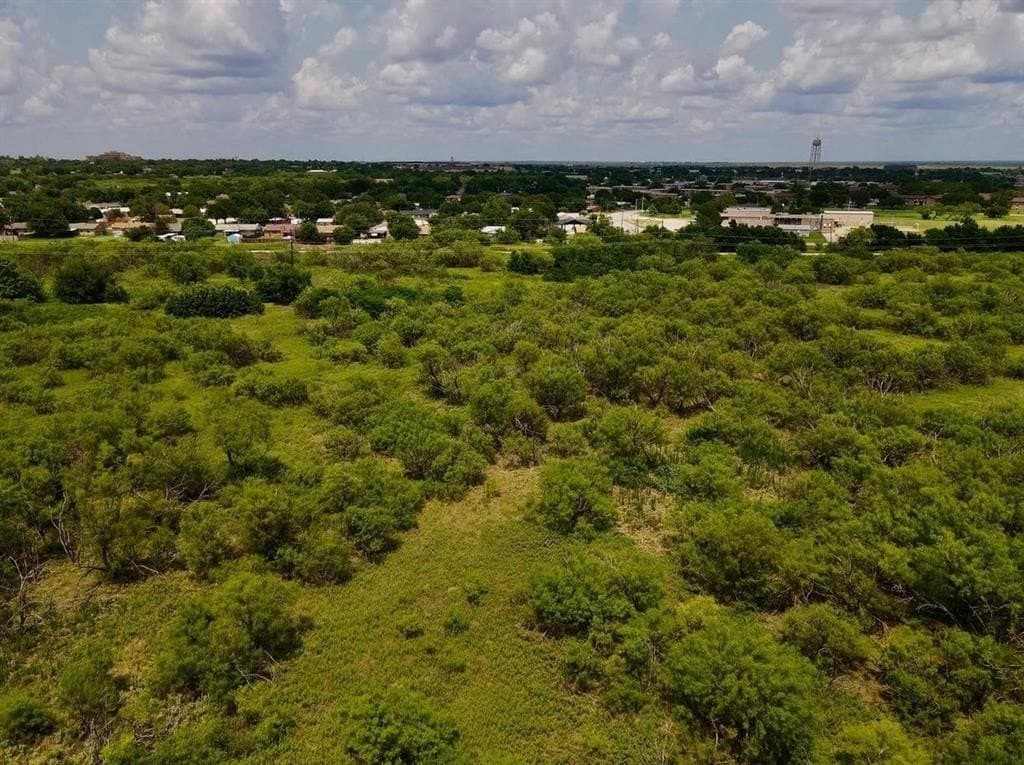 14.27 acres in Wichita County - photo 3