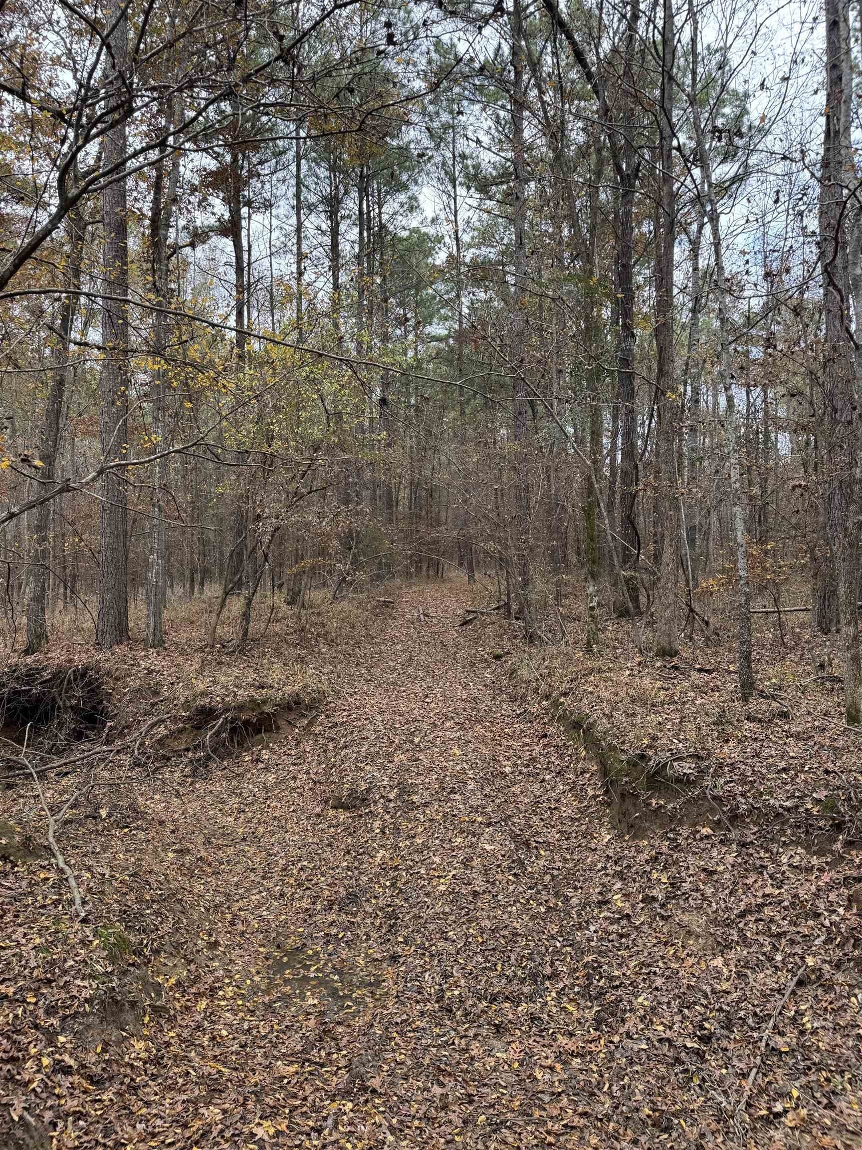 110.46 acres in Harrison County - photo 4