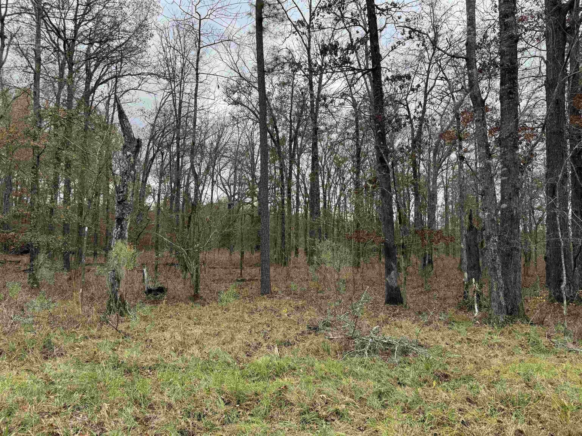 110.46 acres in Harrison County - photo 6