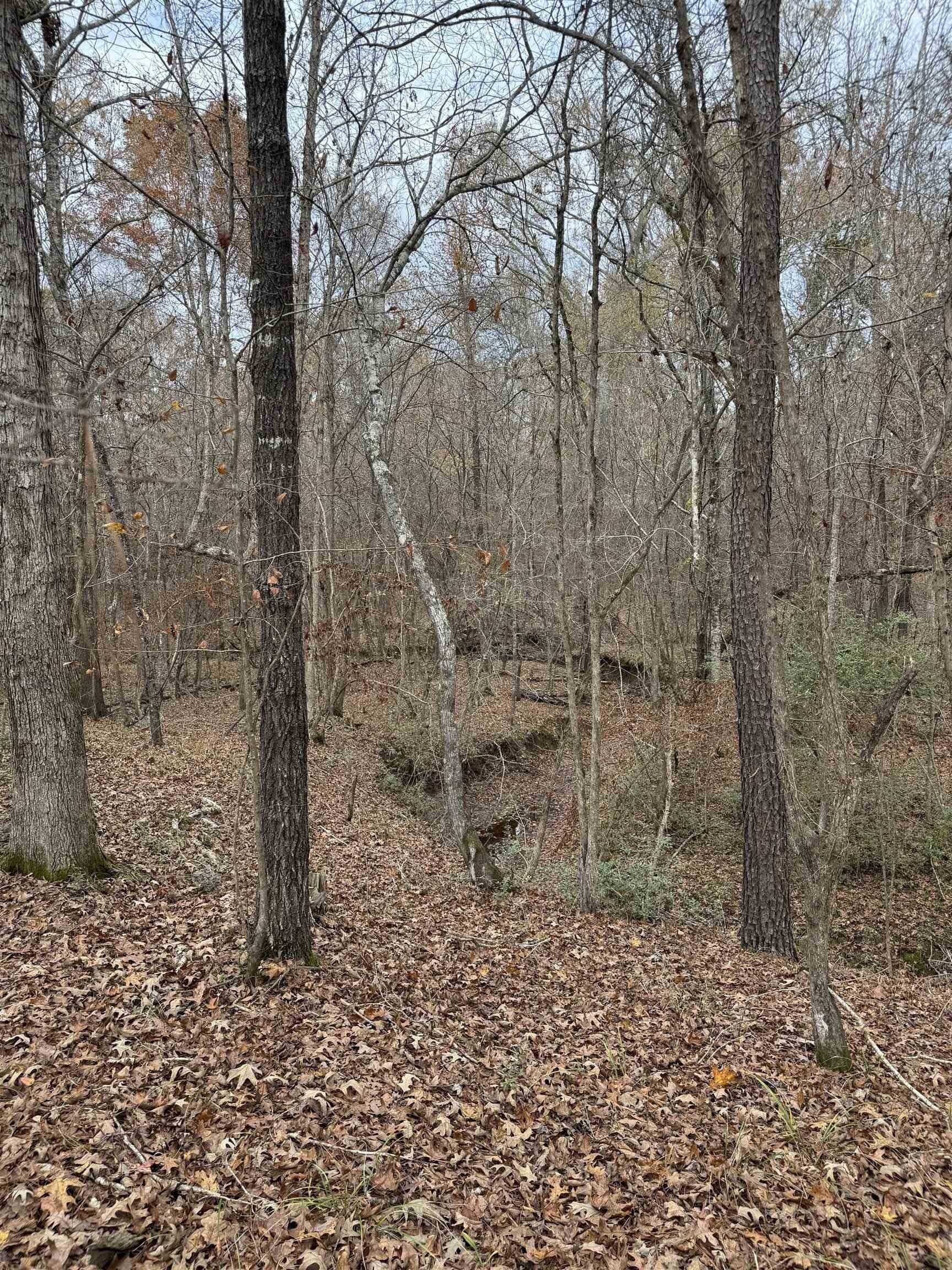 110.46 acres in Harrison County - photo 5