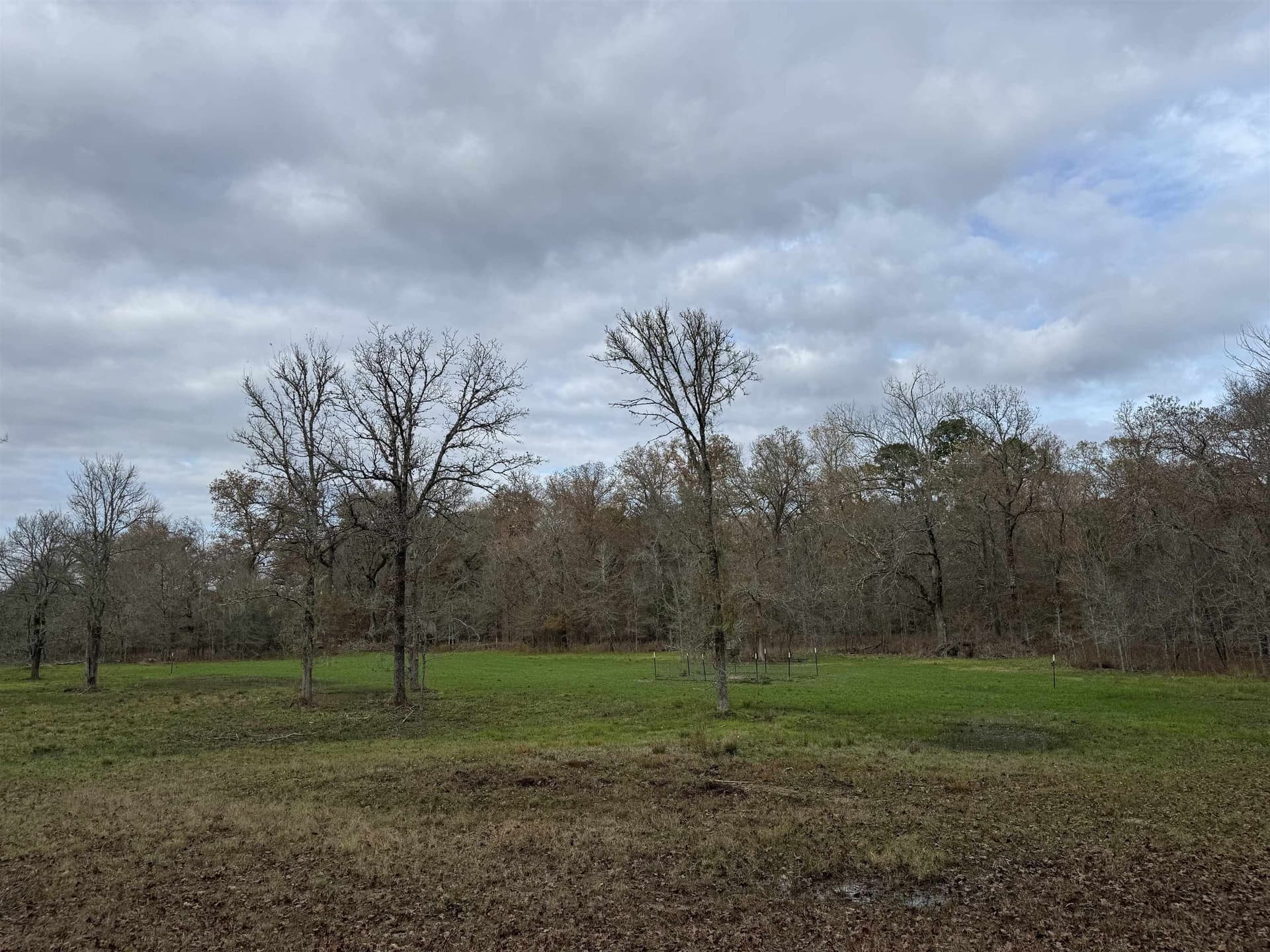 Tbd Private Rd 1331