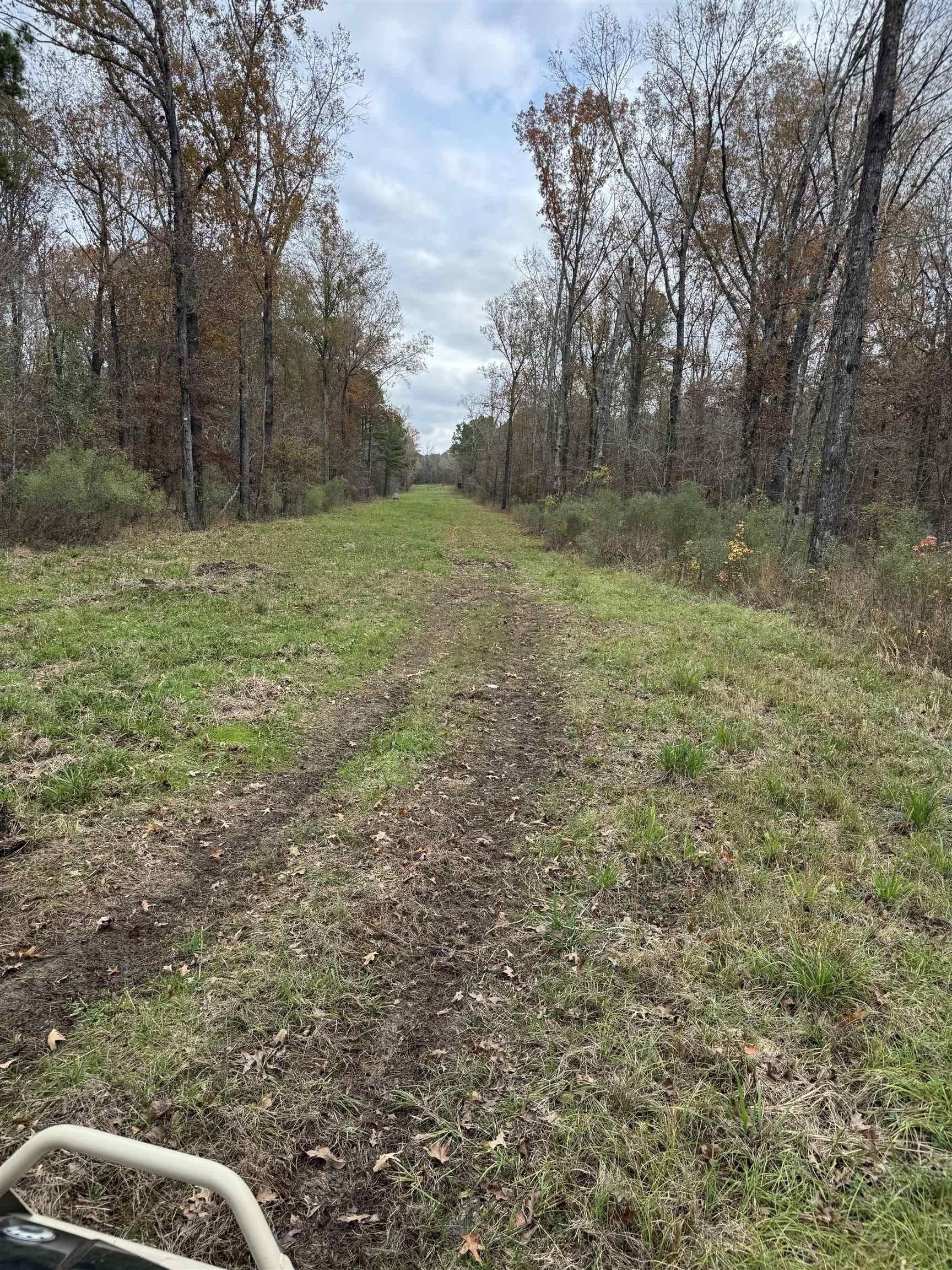 110.46 acres in Harrison County - photo 2
