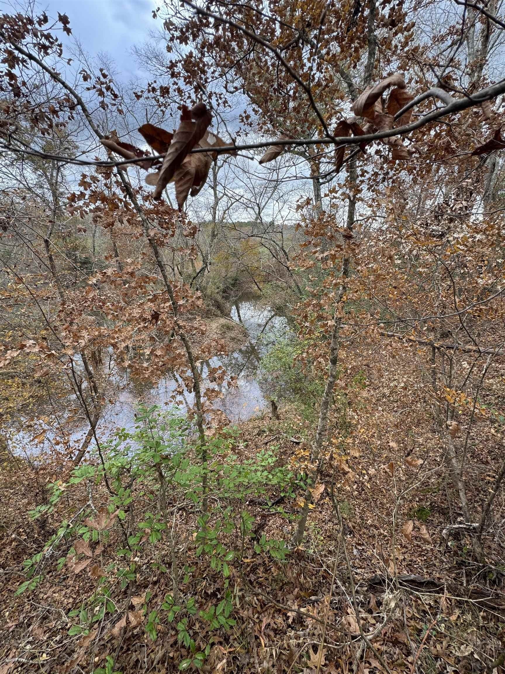 110.46 acres in Harrison County - photo 9