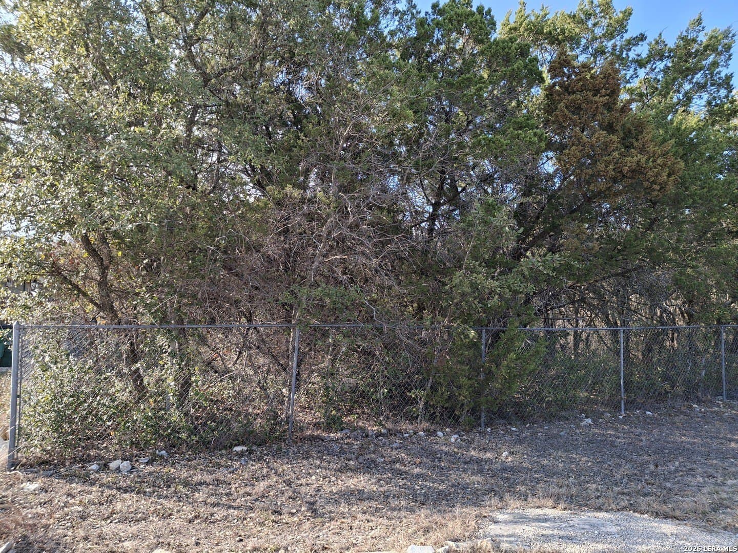 0.2 acres in Comal County - photo 5