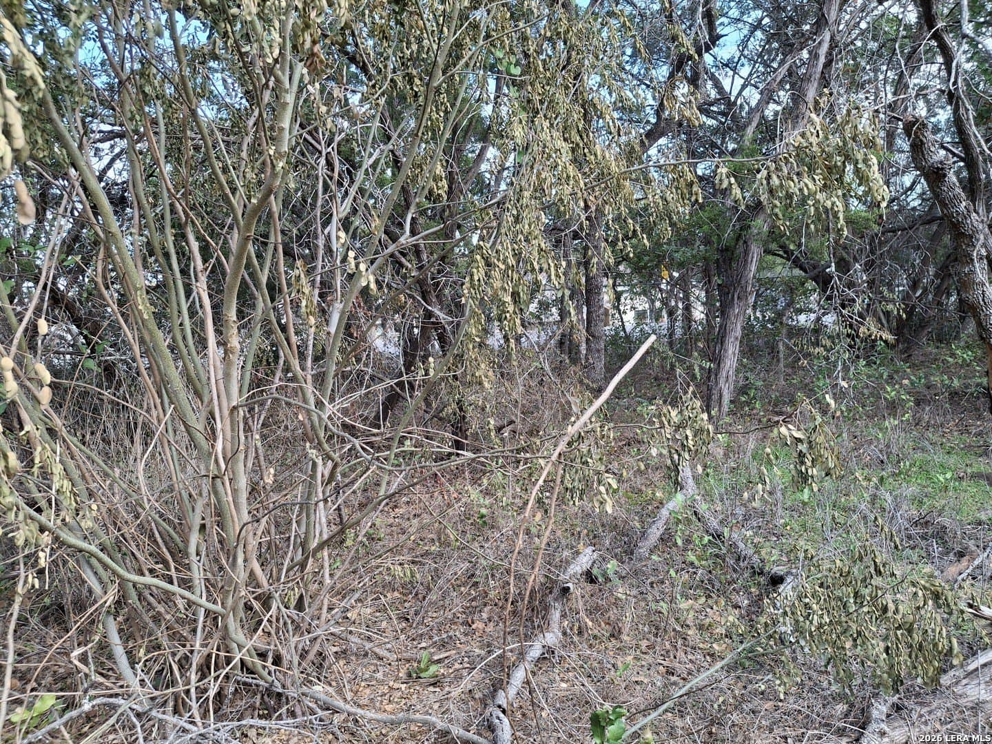 0.2 acres in Comal County - photo 4