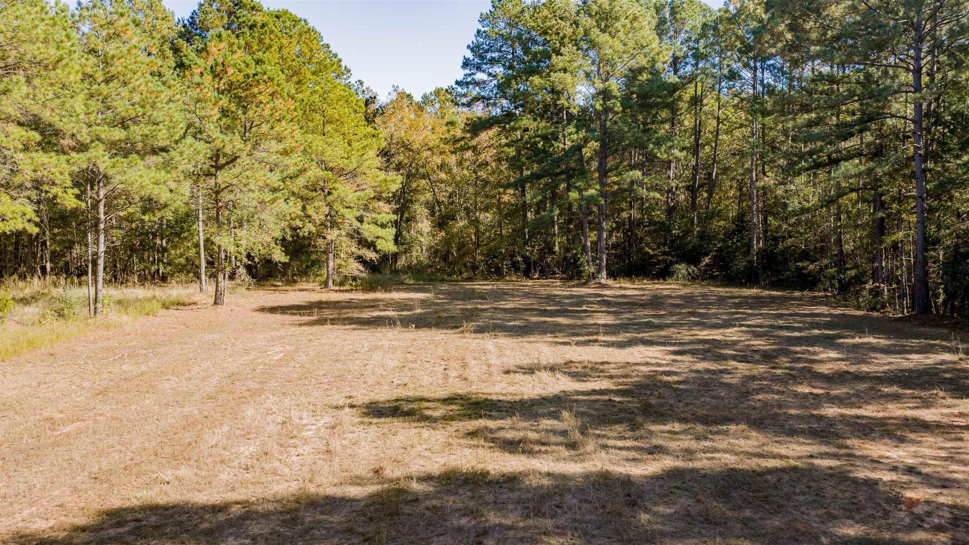 24.97 acres in Upshur County - photo 4