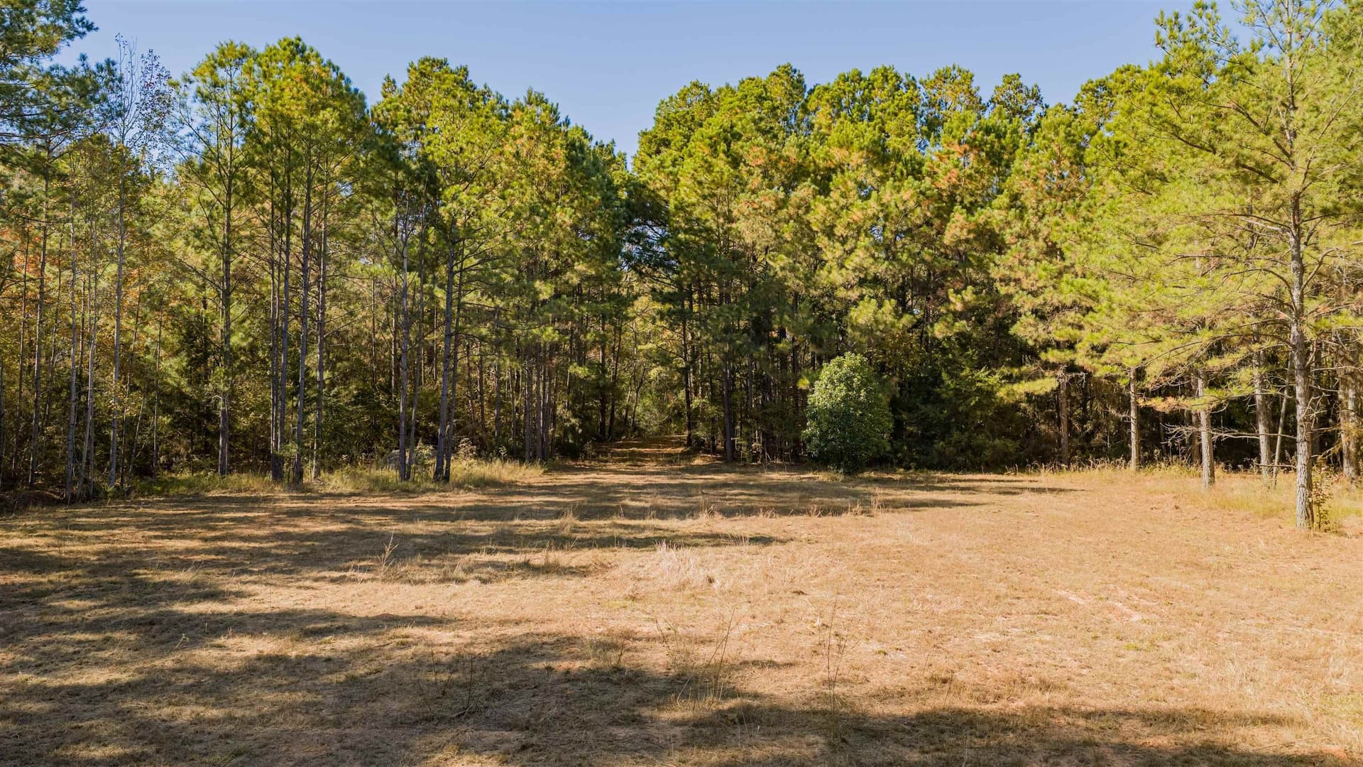 24.97 acres in Upshur County - photo 3