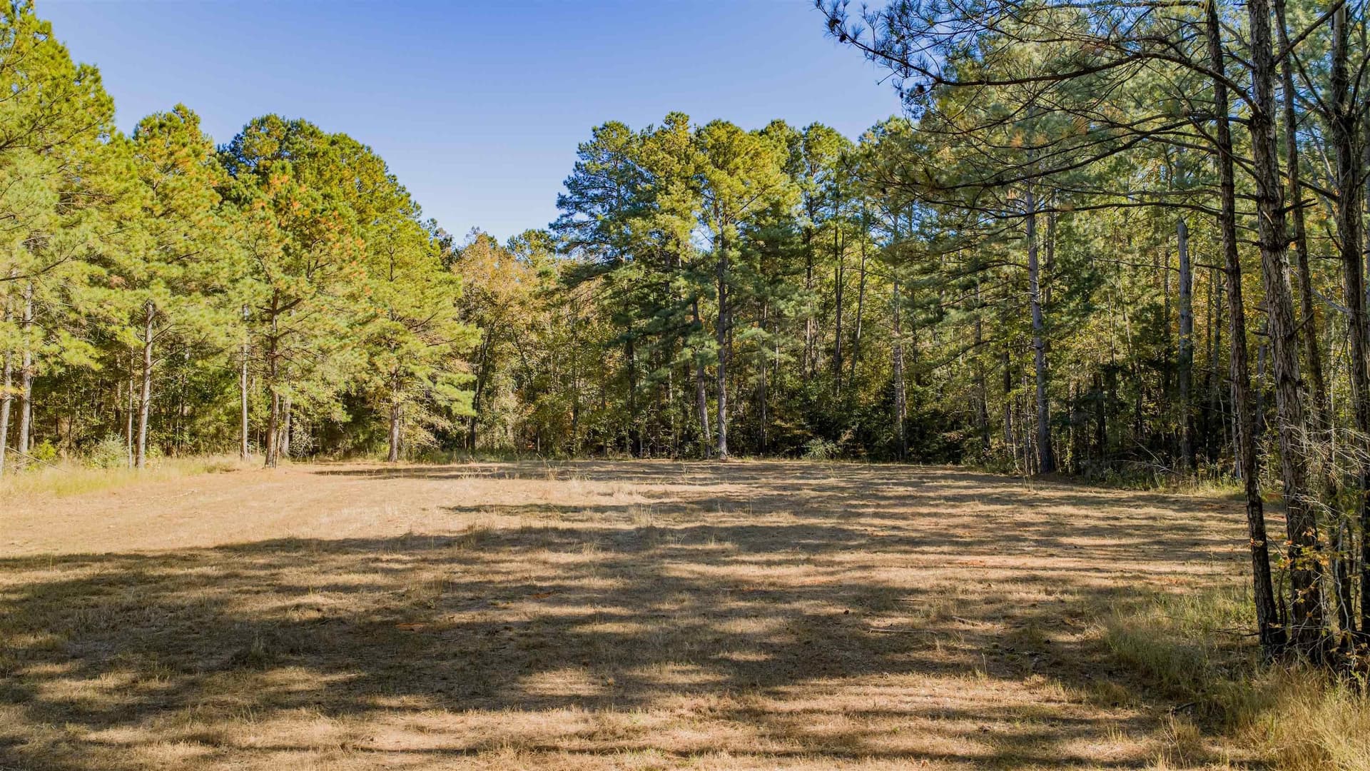 24.97 acres in Upshur County - photo 2