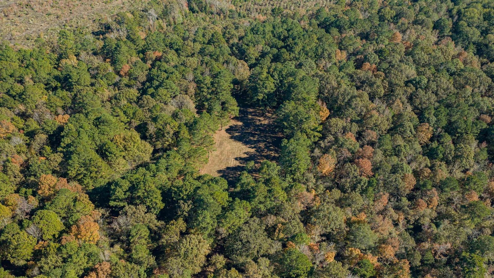 24.97 acres in Upshur County - photo 5