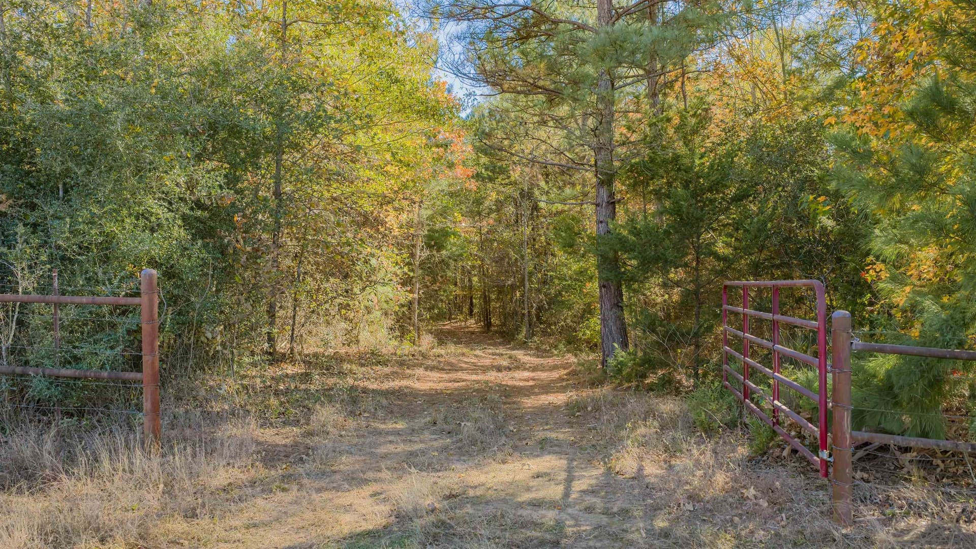 24.97 acres in Upshur County - photo 7