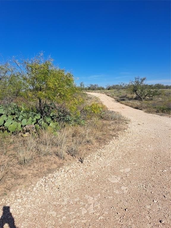 140.6 acres in Taylor County - photo 29