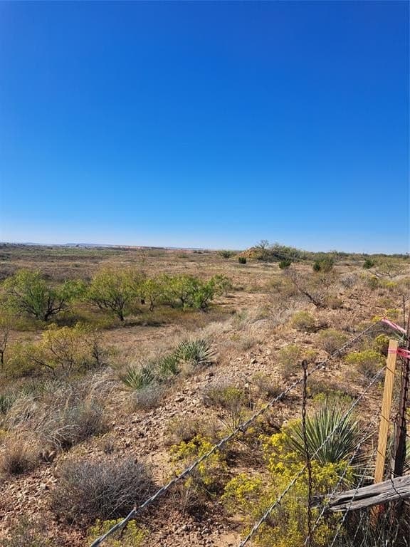 140.6 acres in Taylor County - photo 19