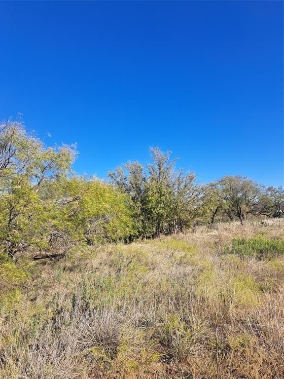 140.6 acres in Taylor County - photo 6