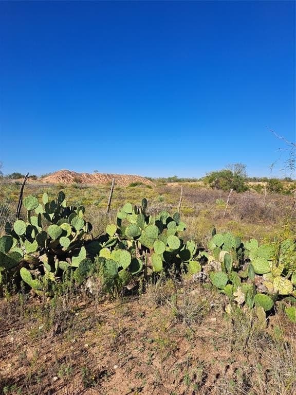 140.6 acres in Taylor County - photo 32