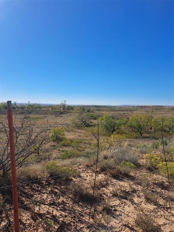 140.6 acres in Taylor County - photo 23