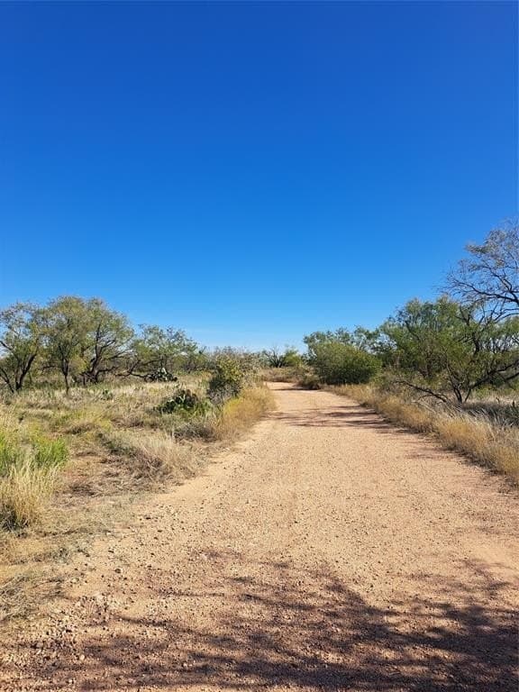 140.6 acres in Taylor County - photo 10