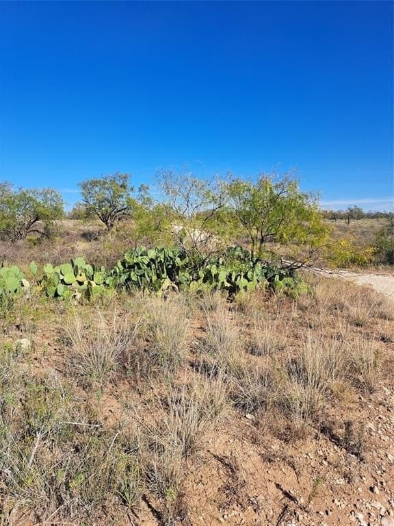 140.6 acres in Taylor County - photo 28