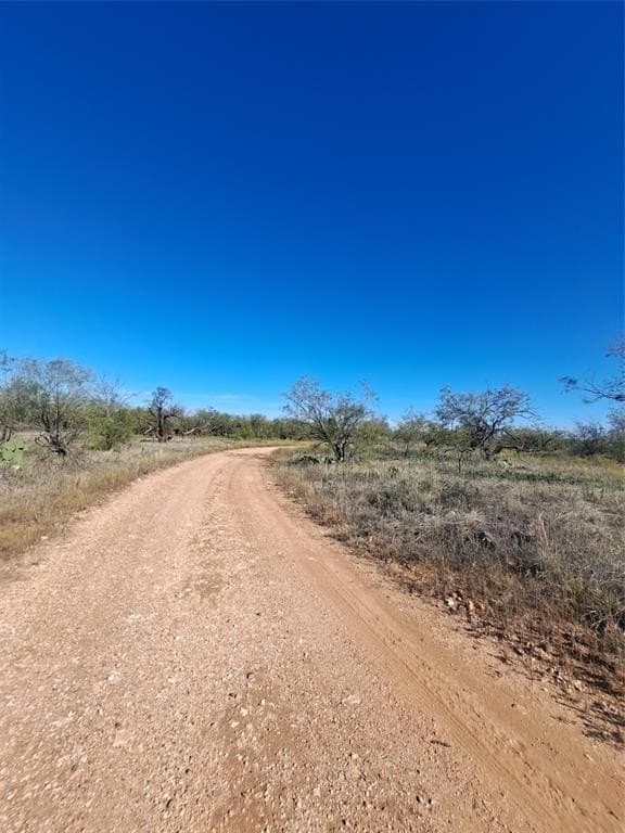 140.6 acres in Taylor County - photo 9