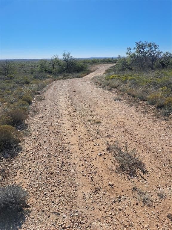 140.6 acres in Taylor County - photo 18
